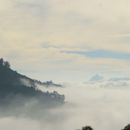 Hide Away Cottages Ooty Buitenkant foto